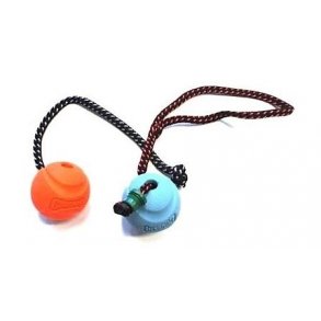 CHUCKIT FETCH BALL I FARVERNE BL ELLER ORANGE - 