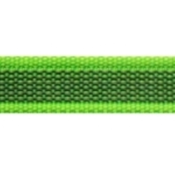 ANTI-SLIPLINE "DOGSPORT" DELUXE MED SPECIEL H&Aring;NDSTOP AF 15MM GUMMIBELAGT WEBBINGB&Aring;ND MED S&Oslash;LVFARVET KARABIN - NEONGR&Oslash;N.