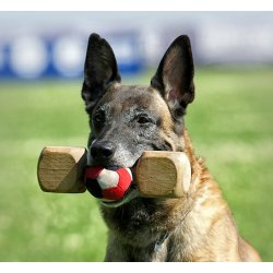 APPORTBOLD TIL "TEAM HEUWINKL" APPORTERINGS-TEKNIK.