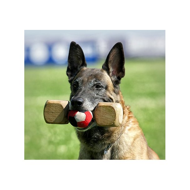 APPORTBOLD TIL "TEAM HEUWINKL" APPORTERINGS-TEKNIK.