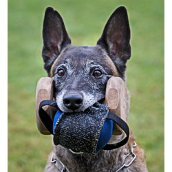 APPORTBOLD TIL "TEAM HEUWINKL" APPORTERINGS-TEKNIK.