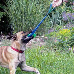 FANTASTIC FUN BALL MED GENNEMGENDE BUNGEE-ELASTIKLINE "VLG IMELLEM 2 STRRELSER MED HNDTAG"