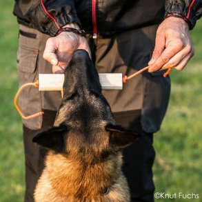 IPO-APPORT KNUT FUCHS 