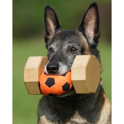 APPORTBOLD TIL "TEAM HEUWINKL" APPORTERINGS-TEKNIK.