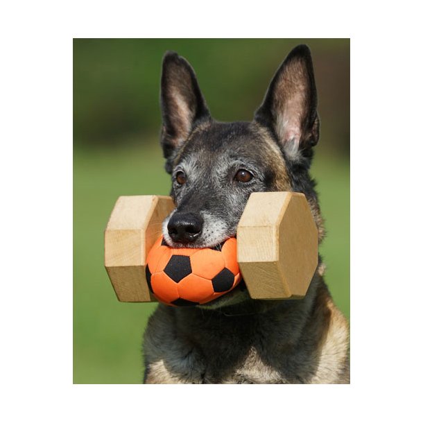 APPORTBOLD TIL "TEAM HEUWINKL" APPORTERINGS-TEKNIK.