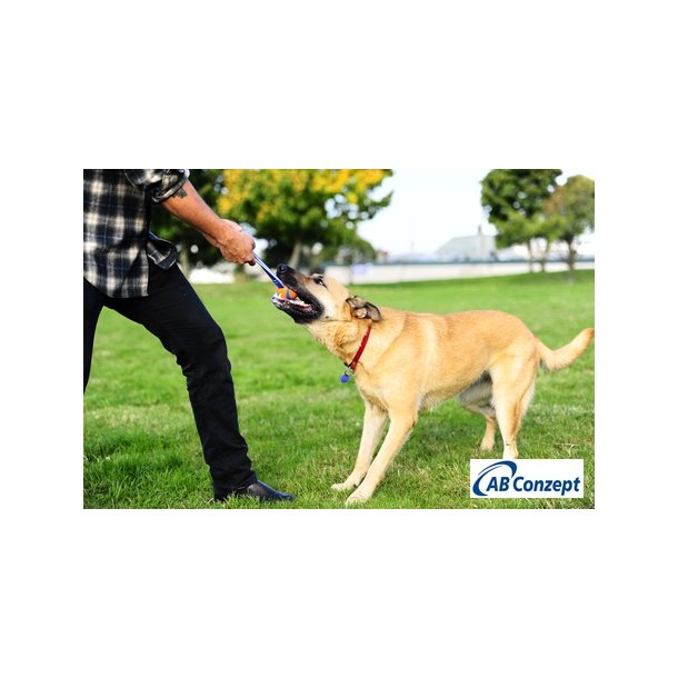 CHUCKIT ULTRA TUG MED INDBYGGET H�NDTAG - "V�LG IMELLEM 2 ST�RRELSER"