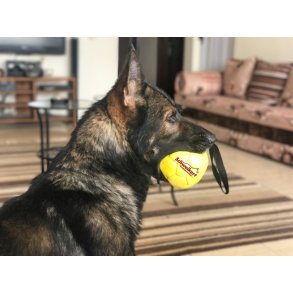 LDER-, NYLCOT- OG NEOPRENBOLDE MED OG UDEN HNDTAG.