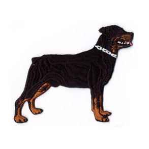 ROTTWEILER - STÅENDE.