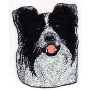 BORDER COLLIE - HOVED. 