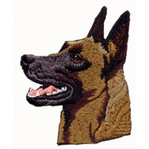 MALINOIS - HOVED.