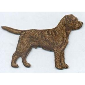 BORDERTERRIER - STENDE. 