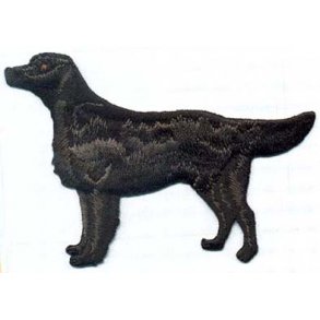 FLAT COATED RETRIEVER - STENDE. 