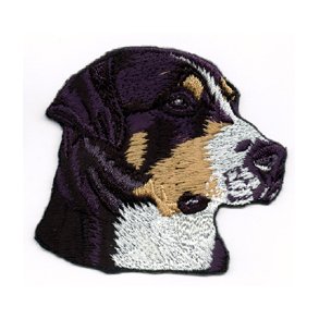 GROSSER SCHWEIZ DENNEN - HOVED. 