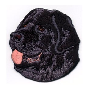 NEW FOUNDLAND - HOVED. 