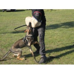 HST - FIGURANTRME MODEL JUNIOR LINE (RD KANTFARVE) "BLD" - VENSTREMODEL. "TILBUD SPAR 200,00 KR."